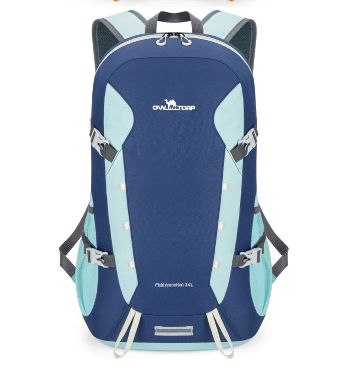 Louis Vuitton Damier Riviera Mini Bag