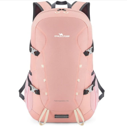 Louis Vuitton Damier Riviera Mini Bag