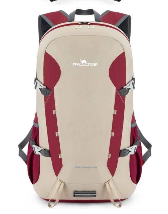 Louis Vuitton Damier Riviera Mini Bag