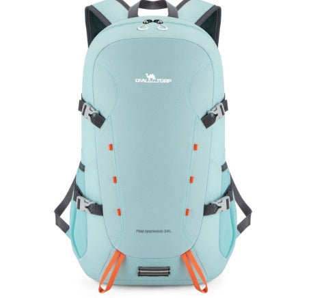 Louis Vuitton Damier Riviera Mini Bag