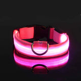 RoyalPet Led Safely Collar