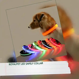 RoyalPet Led Safely Collar by@Outfy